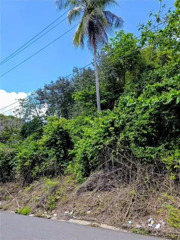 Bo Quebrada Cruz Toa Alta PR 00953