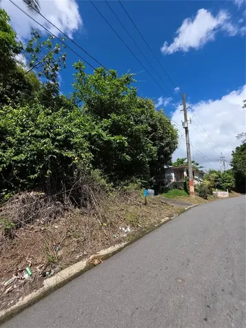 Bo Quebrada Cruz Toa Alta PR 00953