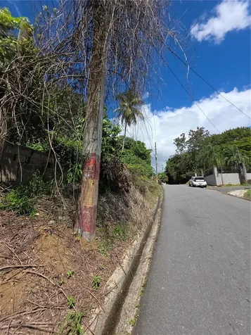 Bo Quebrada Cruz Toa Alta PR 00953
