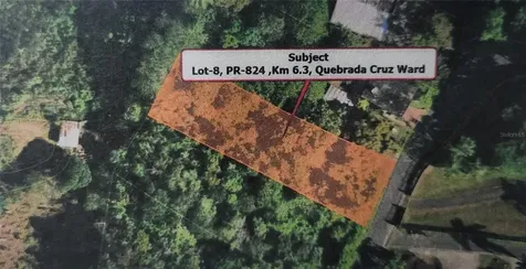 Bo Quebrada Cruz Toa Alta PR 00953