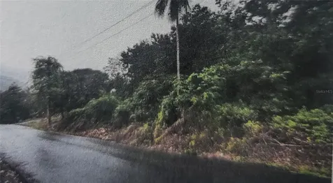Bo Quebrada Cruz Toa Alta PR 00953