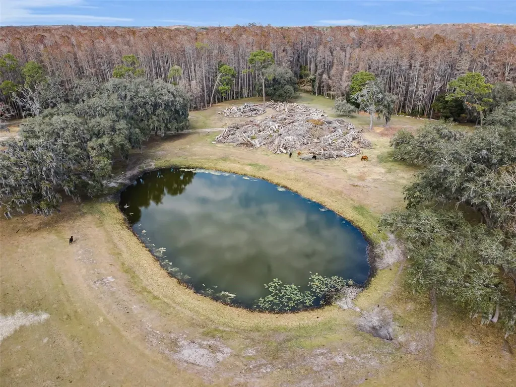 7230 Old Homestead Road New Port Richey FL 34654
