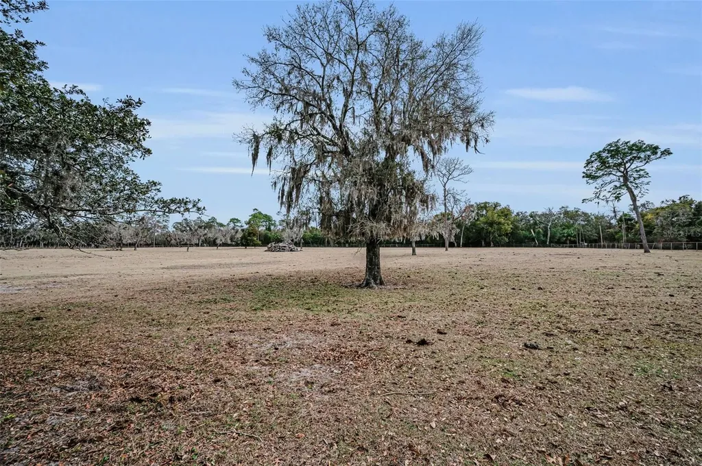 7230 Old Homestead Road New Port Richey FL 34654