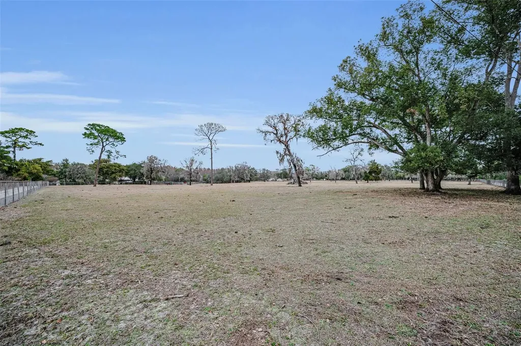 7230 Old Homestead Road New Port Richey FL 34654