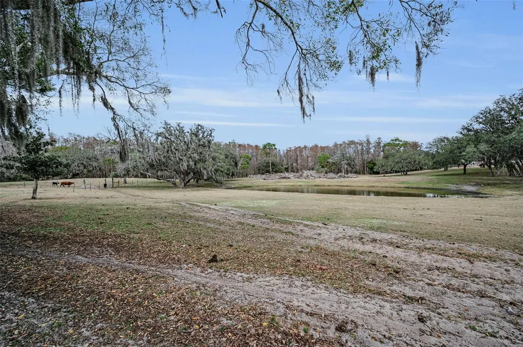 7230 Old Homestead Road New Port Richey FL 34654