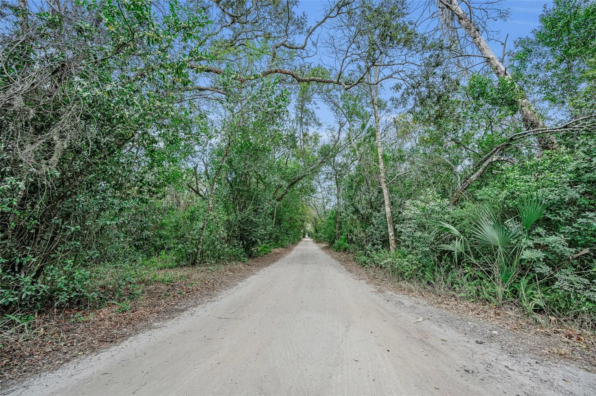 7230 Old Homestead Road New Port Richey FL 34654