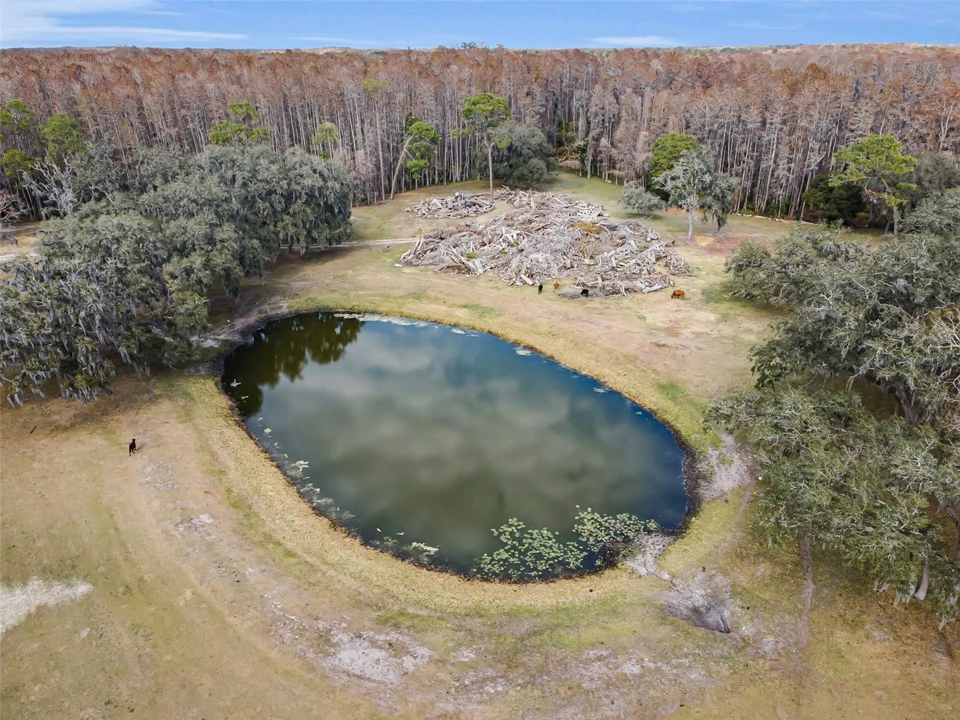 7230 Old Homestead Road New Port Richey FL 34654
