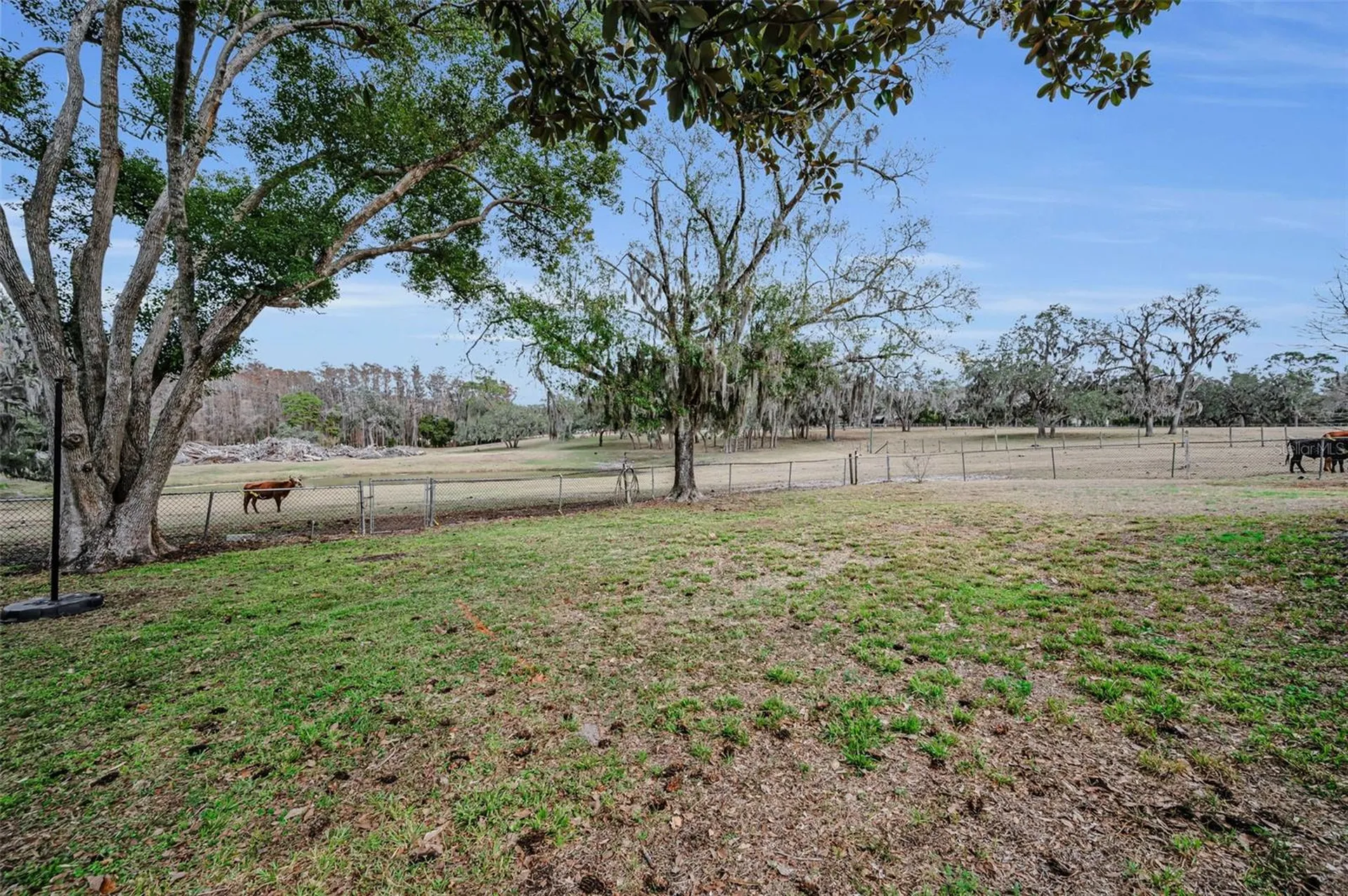 7230 Old Homestead Road New Port Richey FL 34654
