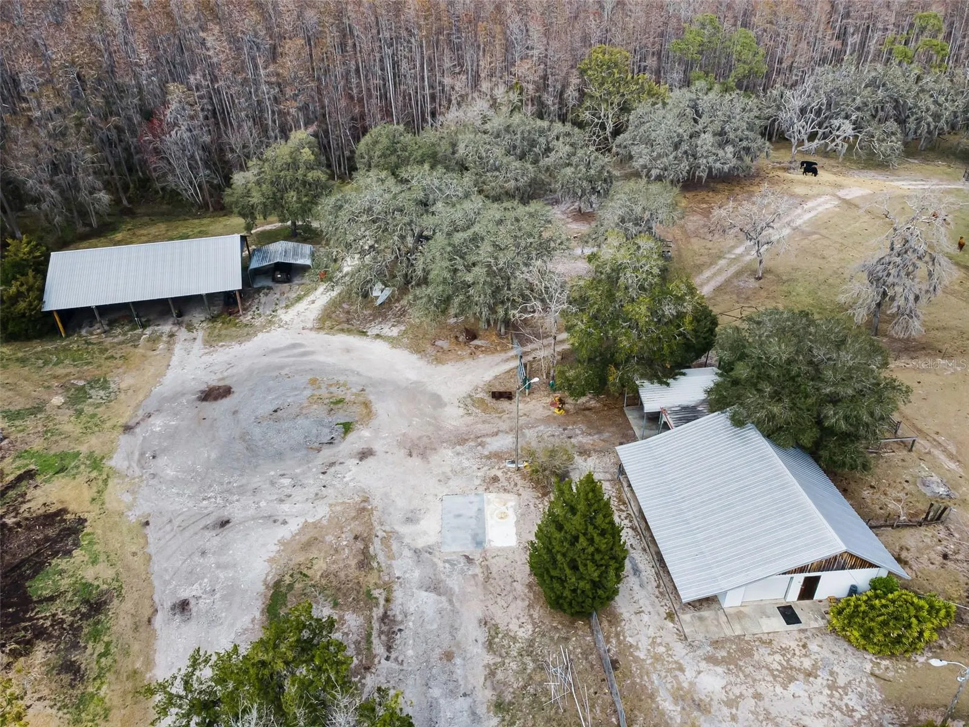 7230 Old Homestead Road New Port Richey FL 34654