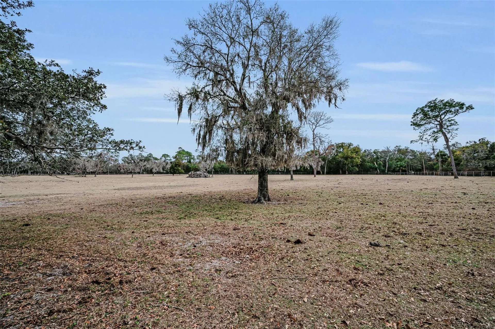 7230 Old Homestead Road New Port Richey FL 34654