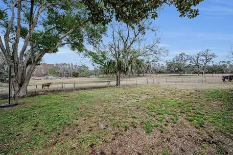 7230 Old Homestead Road New Port Richey FL 34654