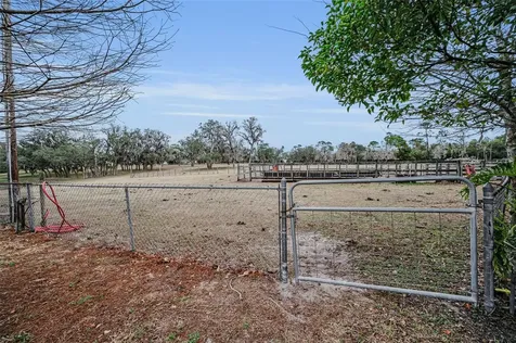 7230 Old Homestead Road New Port Richey FL 34654