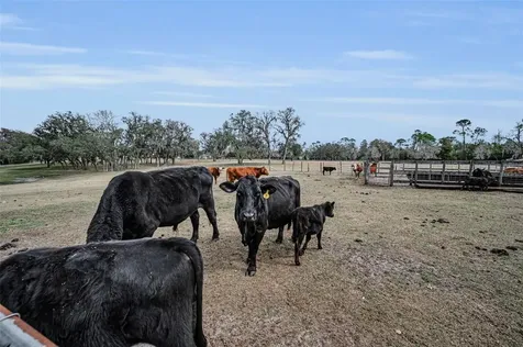 7230 Old Homestead Road New Port Richey FL 34654