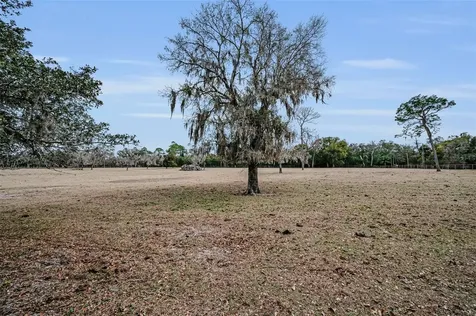 7230 Old Homestead Road New Port Richey FL 34654