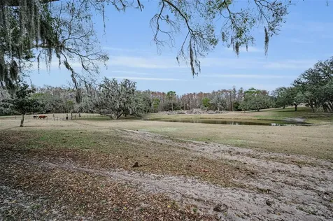 7230 Old Homestead Road New Port Richey FL 34654