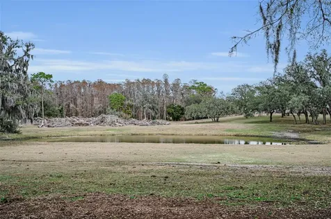 7230 Old Homestead Road New Port Richey FL 34654