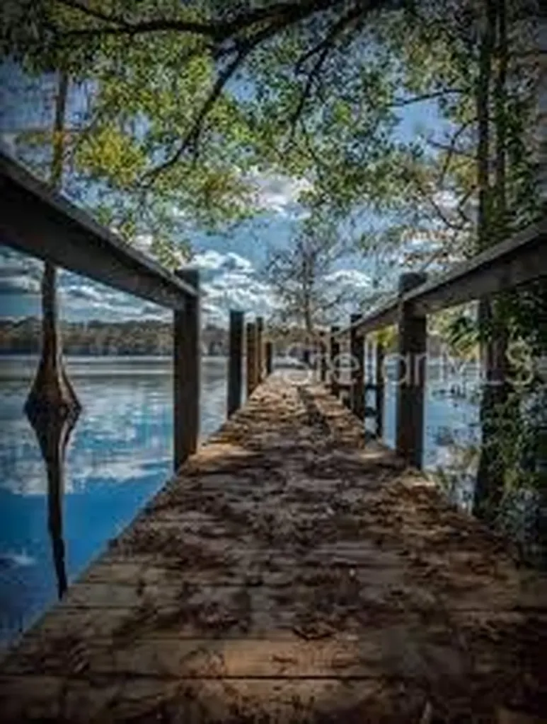 30342 Vitex Avenue Eustis FL 32736