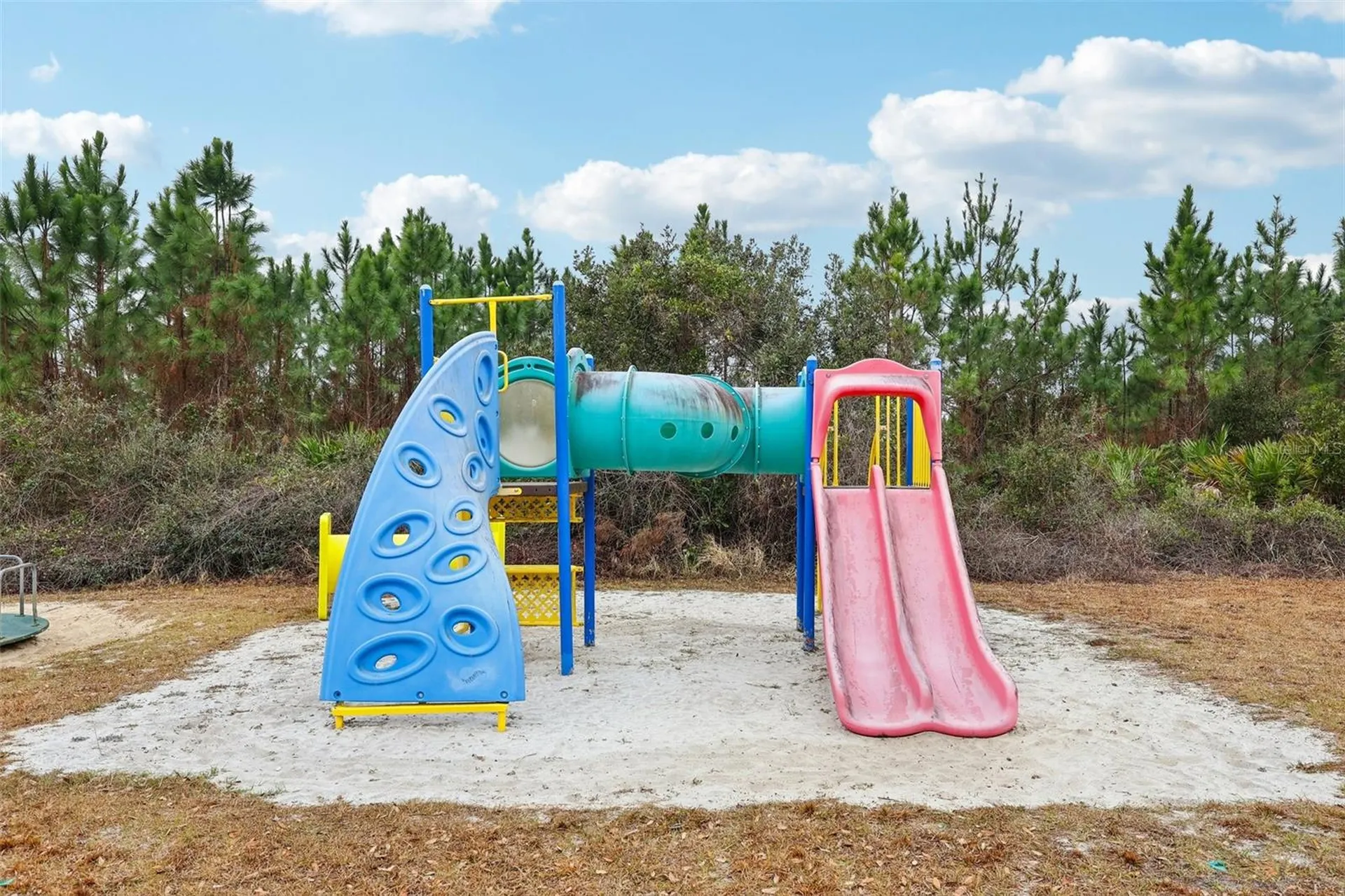 30342 Vitex Avenue Eustis FL 32736