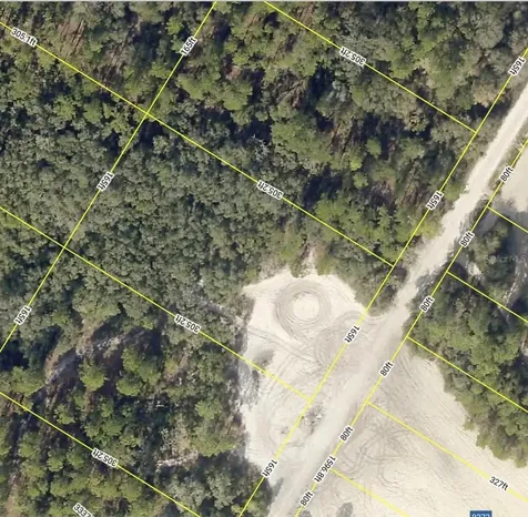 Medicine Stone Drive Webster FL 33597