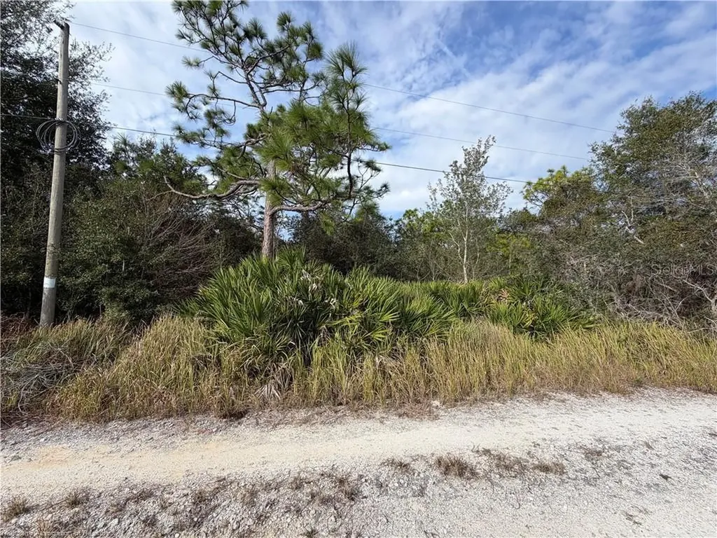 1305 N Roberts Road Avon Park FL 33825