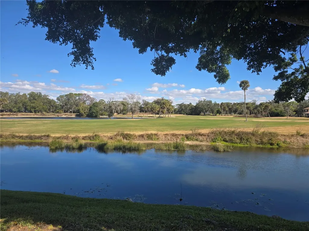 4617 Forest Wood Trail Sarasota FL 34241