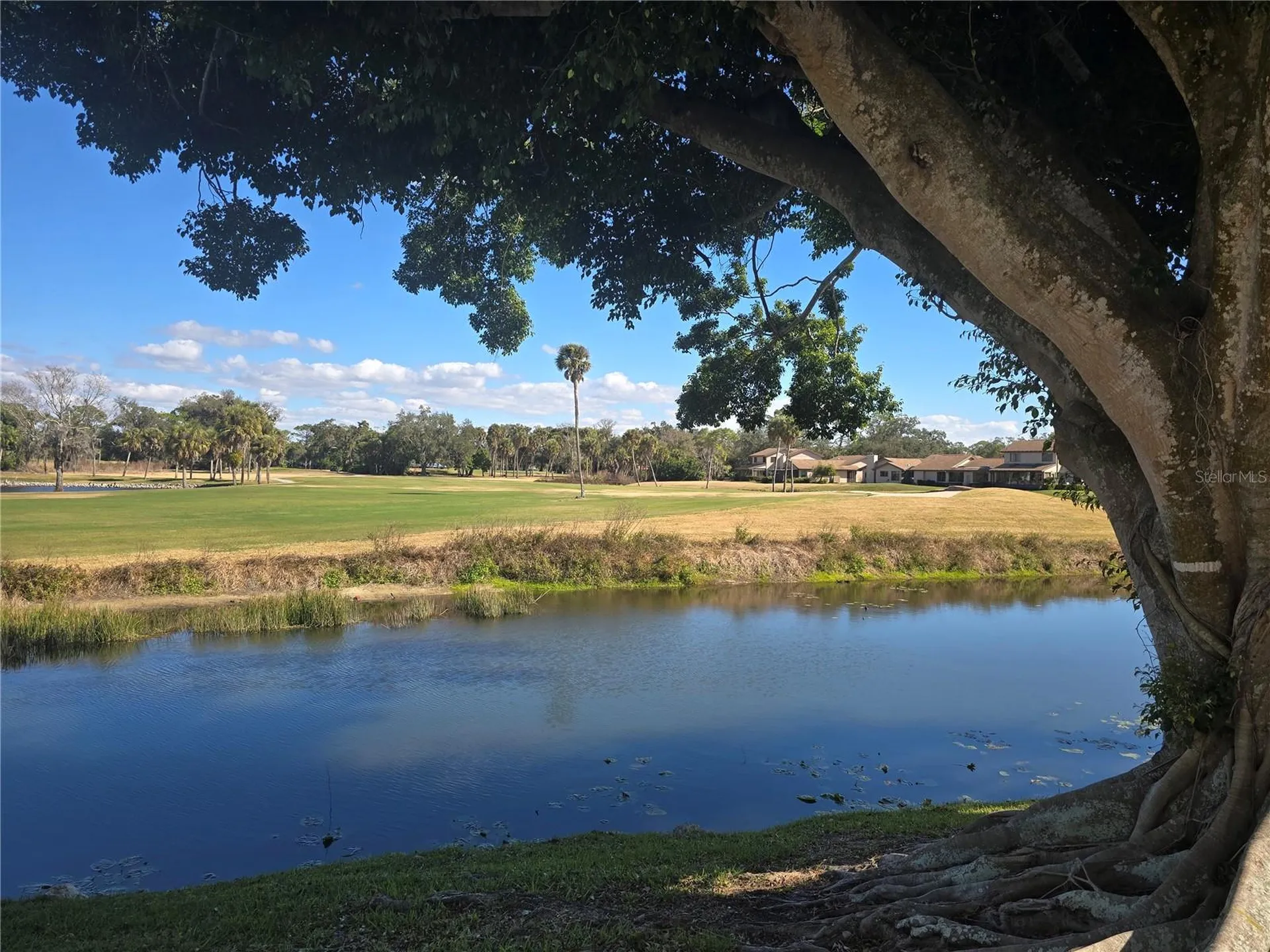 4617 Forest Wood Trail Sarasota FL 34241