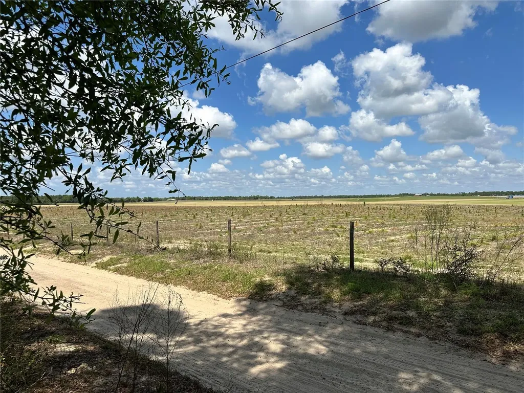 Bronson FL 32621