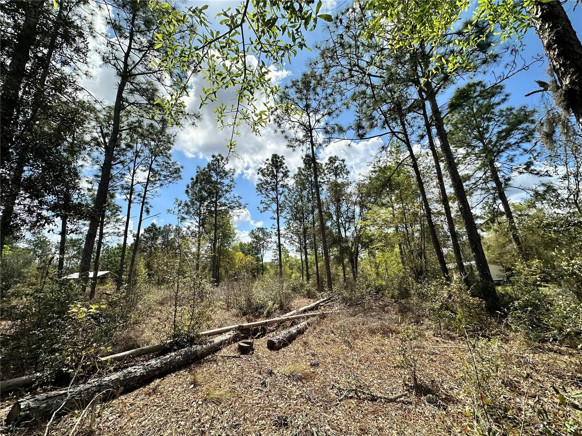 Bronson FL 32621