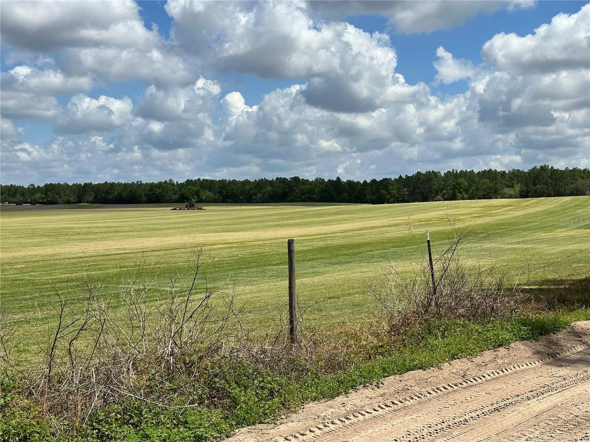 Bronson FL 32621