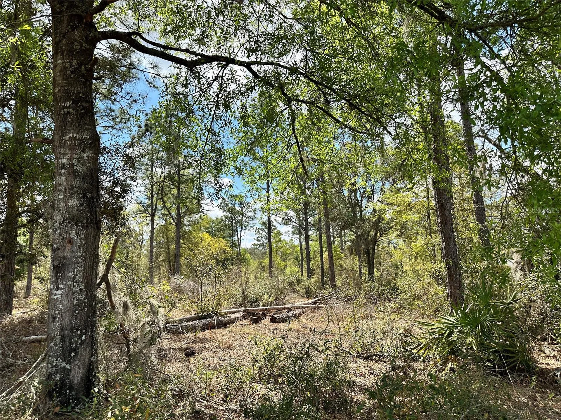 Bronson FL 32621