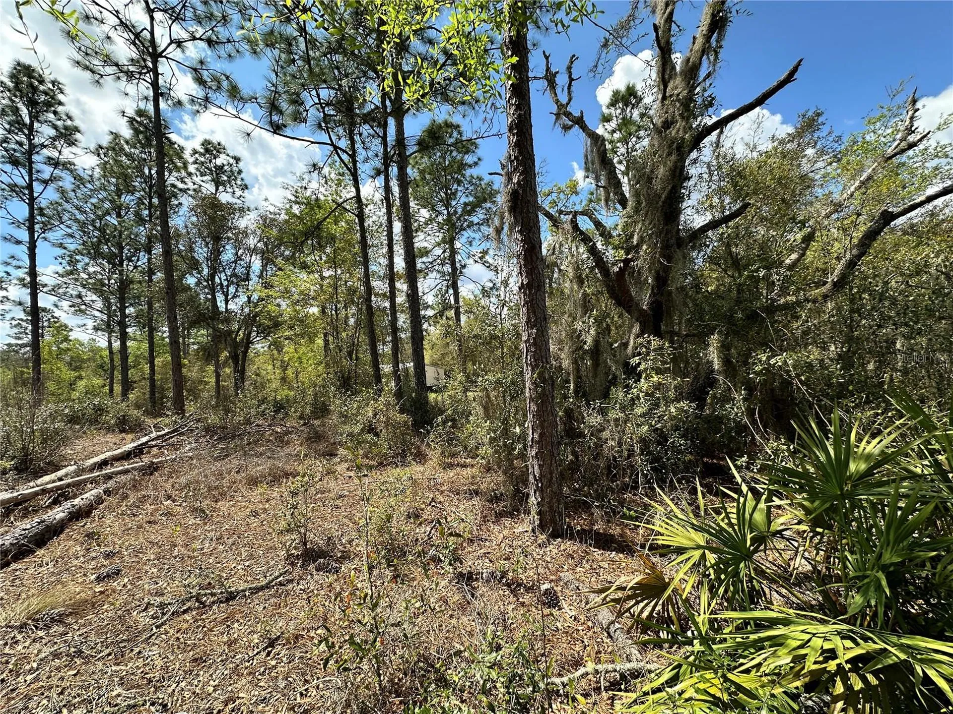 Bronson FL 32621