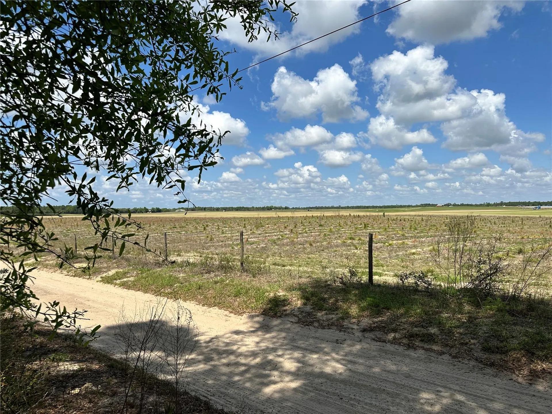 Bronson FL 32621