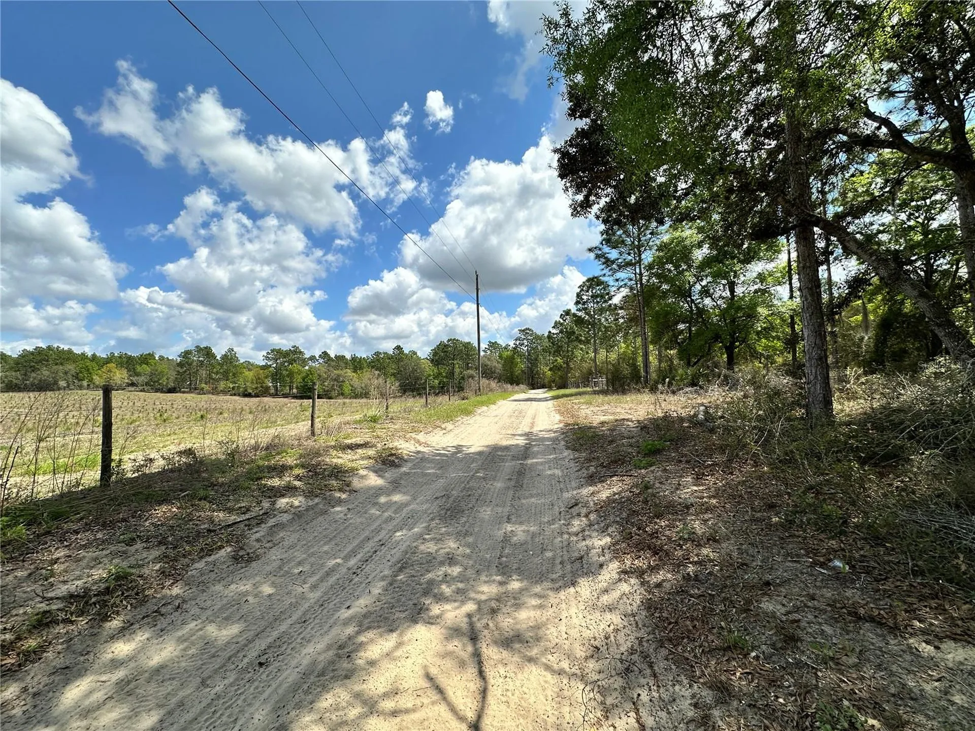Bronson FL 32621