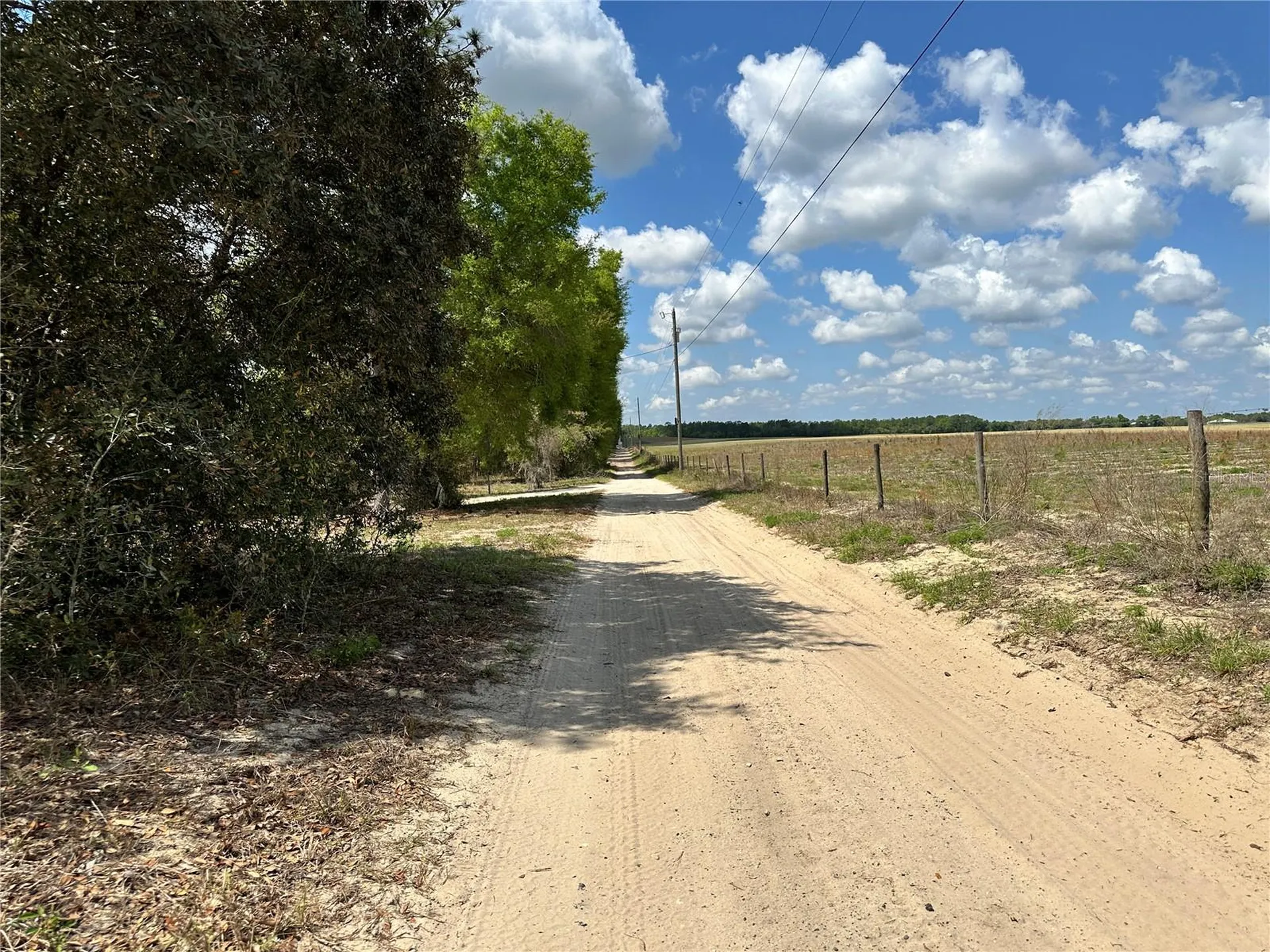 Bronson FL 32621