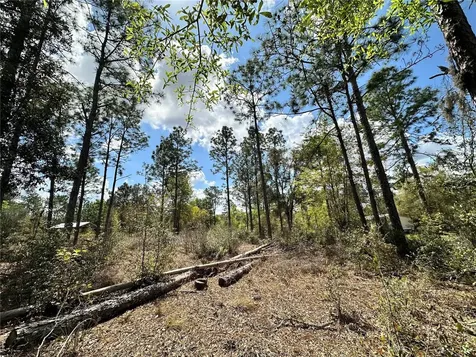 Bronson FL 32621