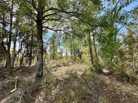 Bronson FL 32621
