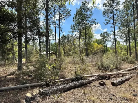 Bronson FL 32621