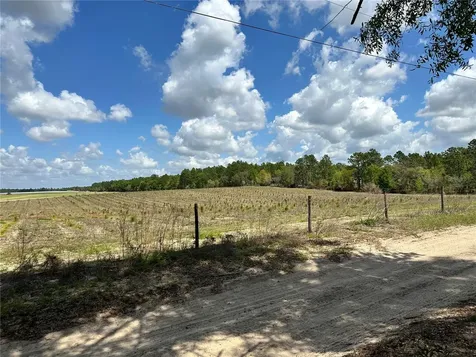 Bronson FL 32621
