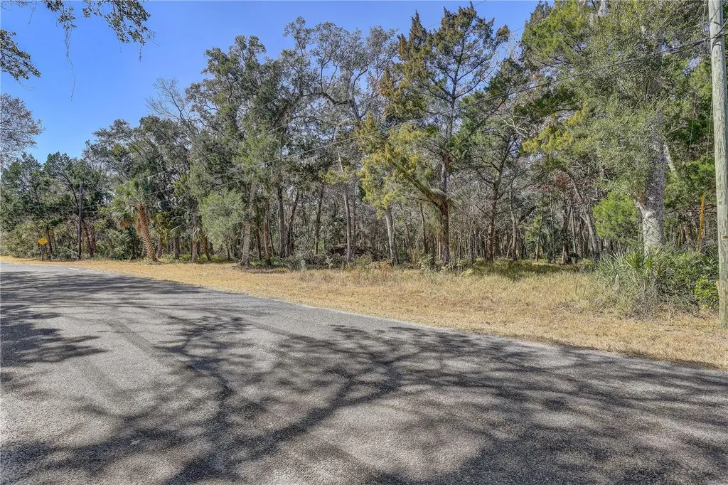 6392 S Westview Drive Homosassa FL 34448