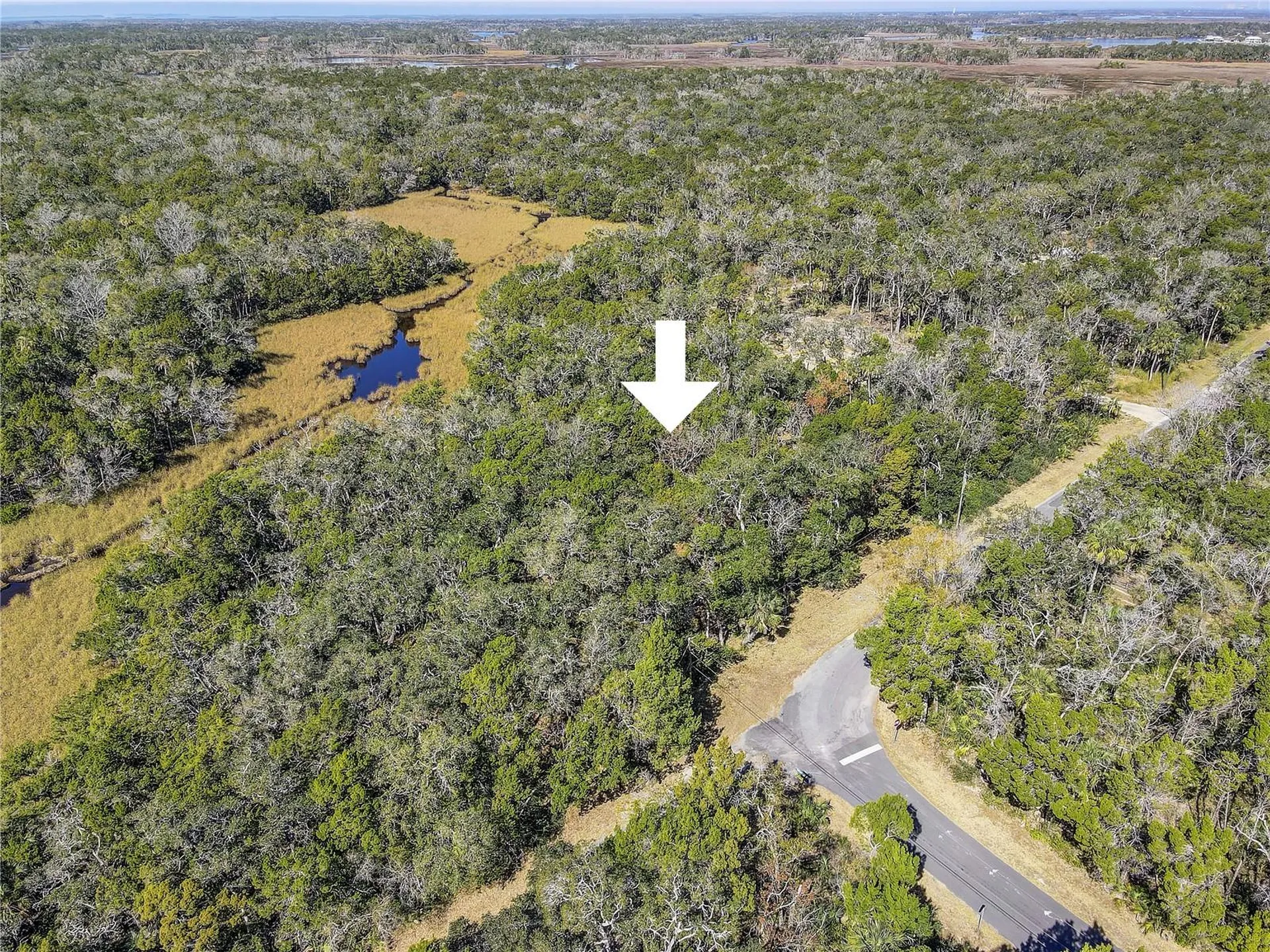 6392 S Westview Drive Homosassa FL 34448