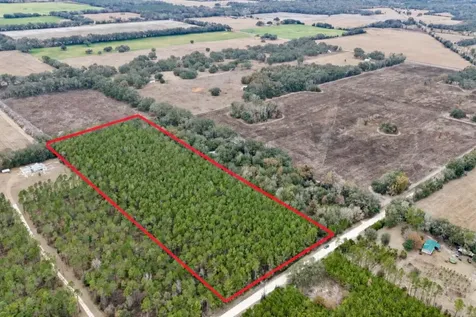 Tbd NE 10th Avenue Trenton FL 32693