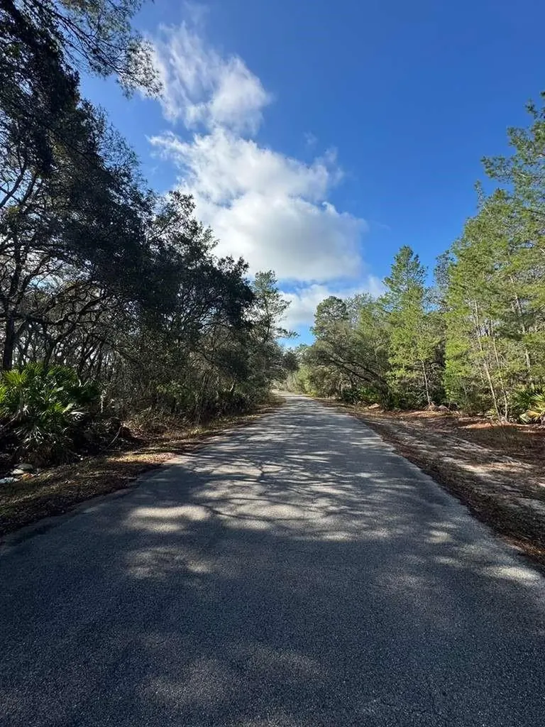 Ocklawaha FL 32179