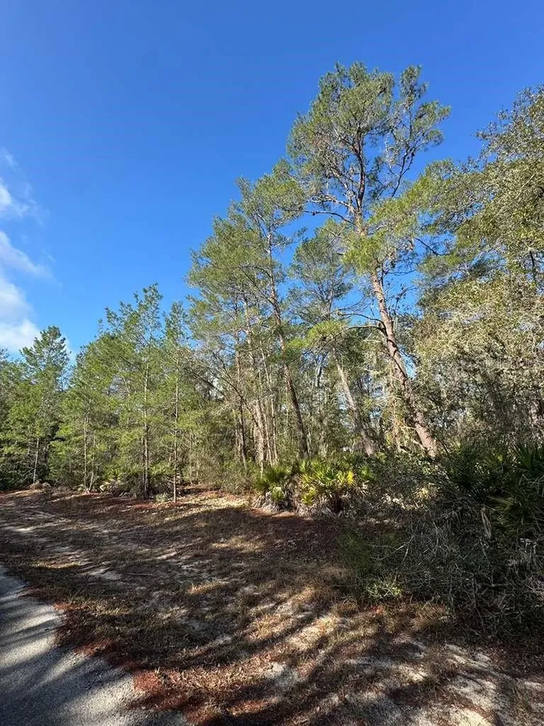 Ocklawaha FL 32179