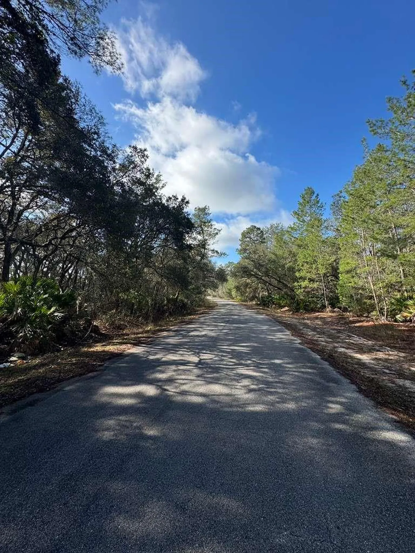Ocklawaha FL 32179