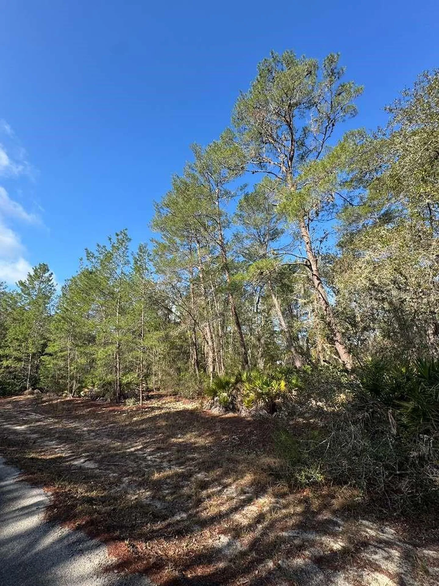 Ocklawaha FL 32179