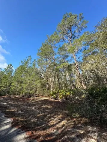 Ocklawaha FL 32179