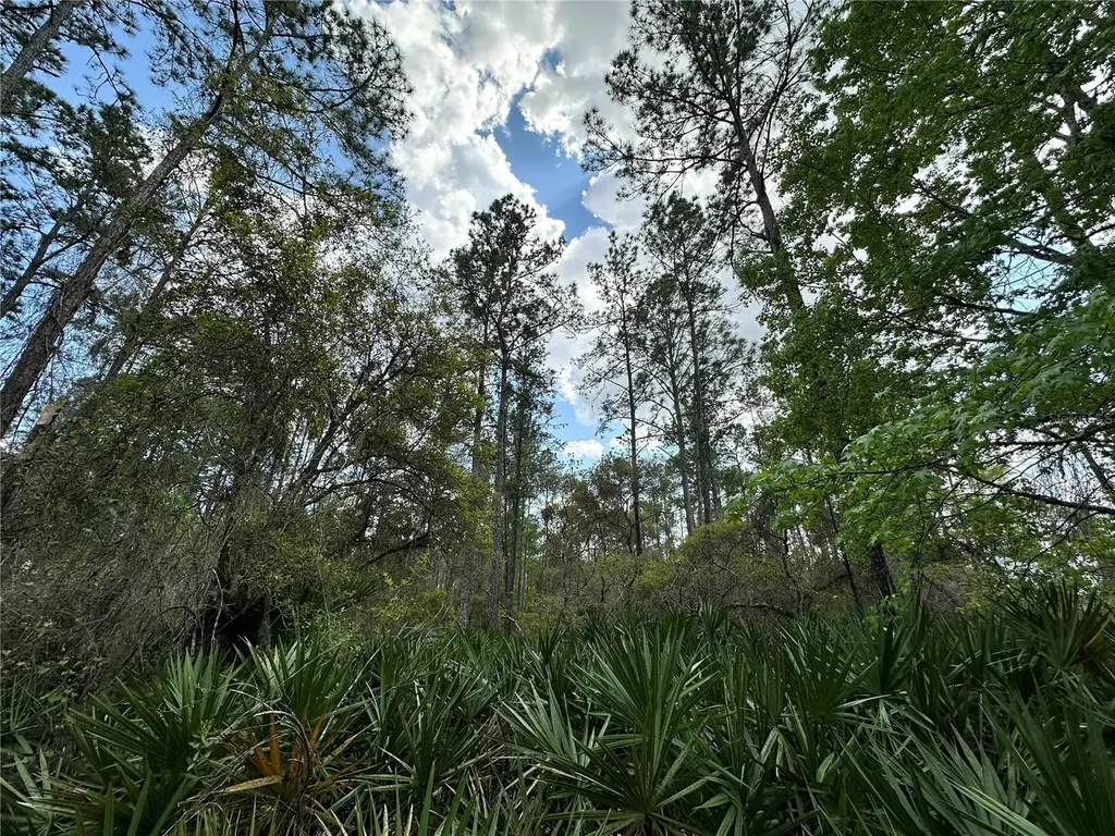 Tbd SE Us Highway 19 Inglis FL 34449