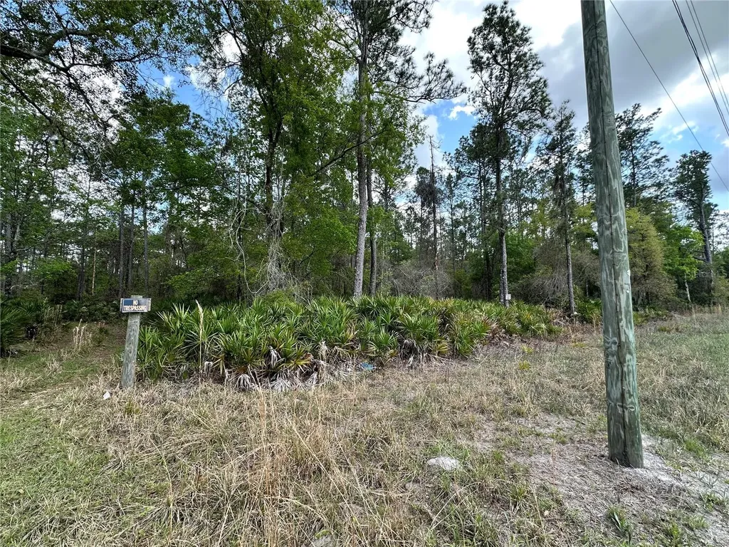 Tbd SE Us Highway 19 Inglis FL 34449