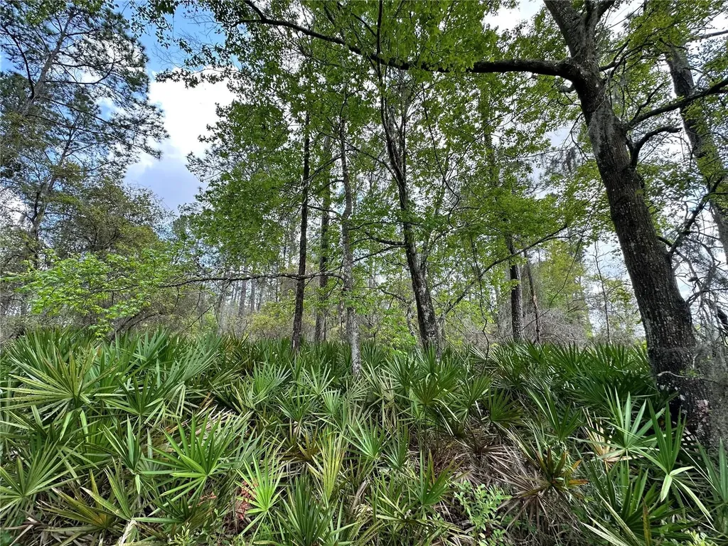 Tbd SE Us Highway 19 Inglis FL 34449