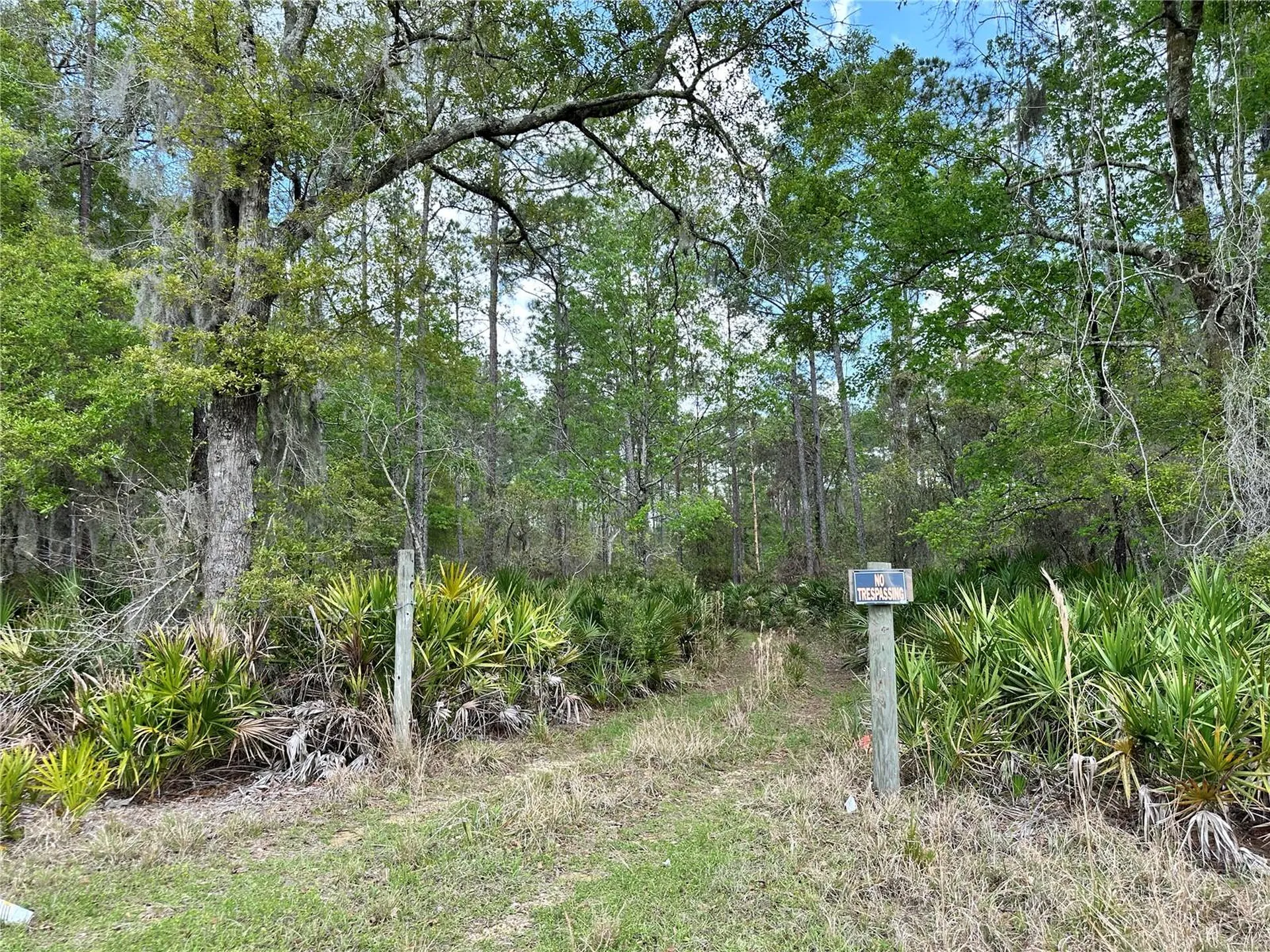 Tbd SE Us Highway 19 Inglis FL 34449